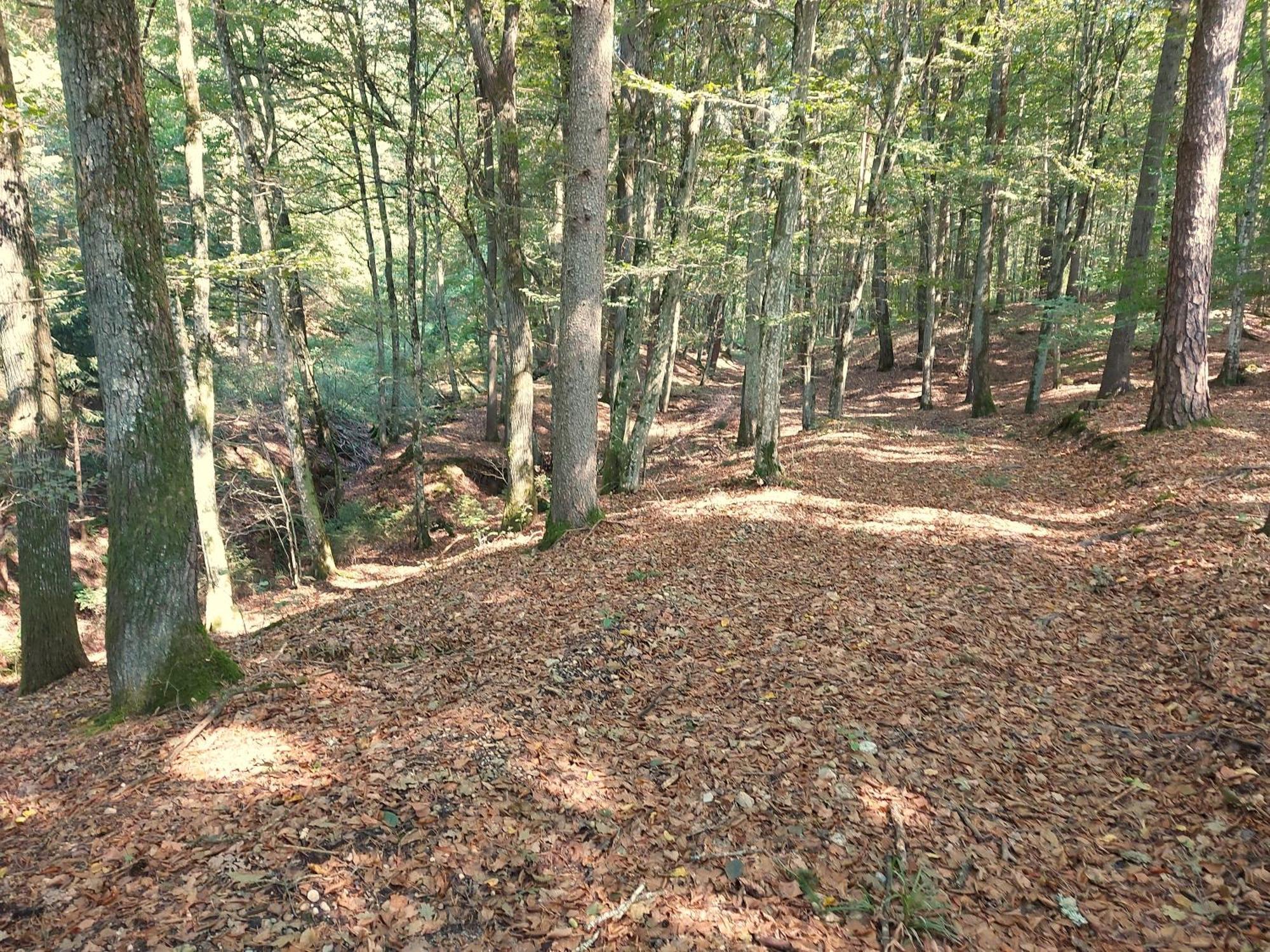 Landhaus Annmarie Limbach im Burgenland Luaran gambar